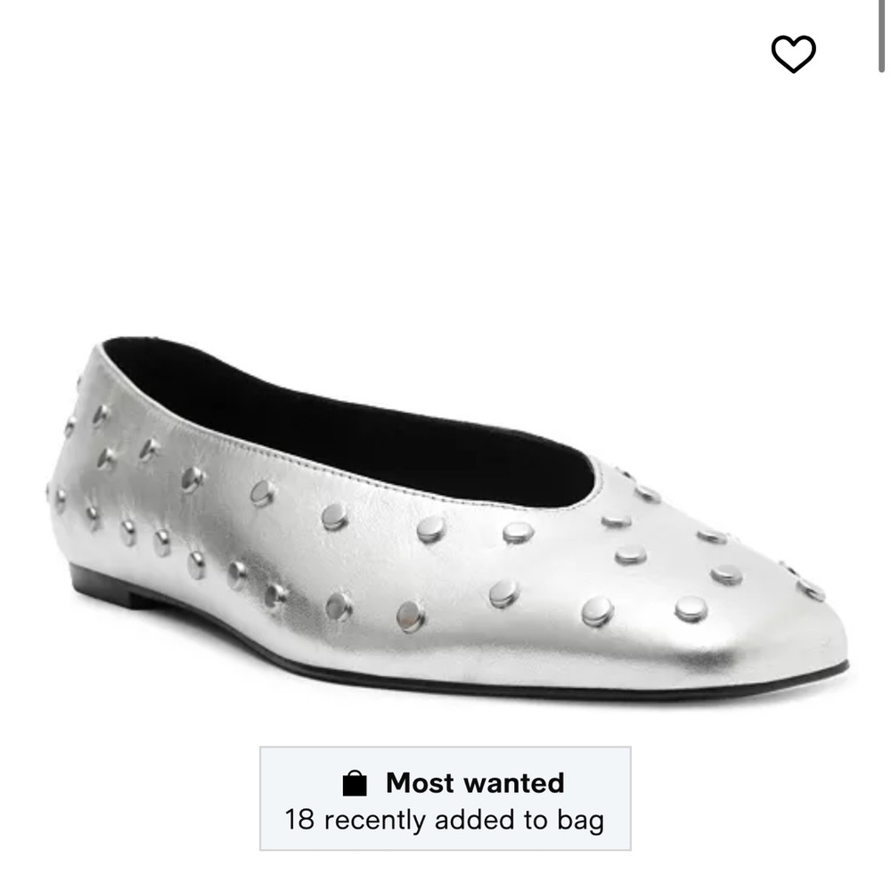 Arezzo Hayden Ballet Flats NWT